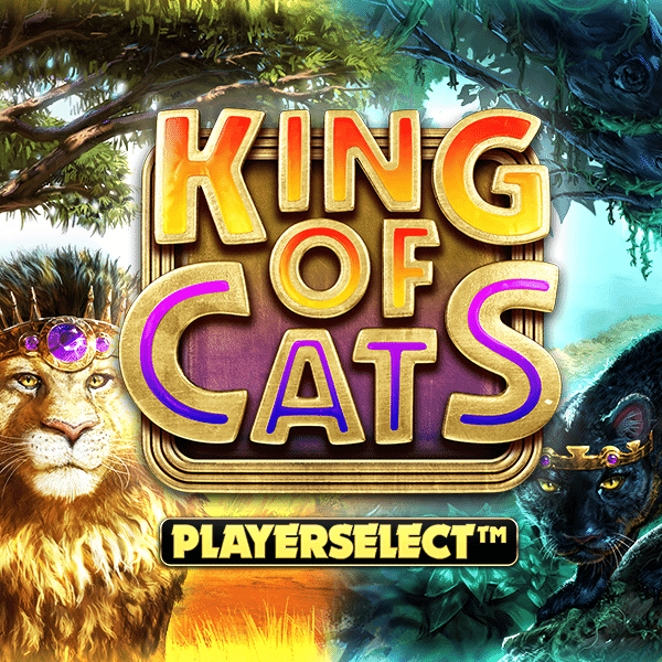 King of Cats